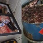 Apreensão de 8 toneladas de carne imprópria para consumo em Lagarto
