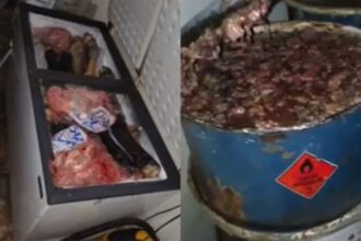 Apreensão de 8 toneladas de carne imprópria para consumo em Lagarto