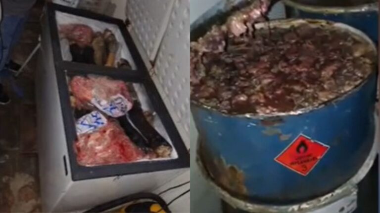 Apreensão de 8 toneladas de carne imprópria para consumo em Lagarto