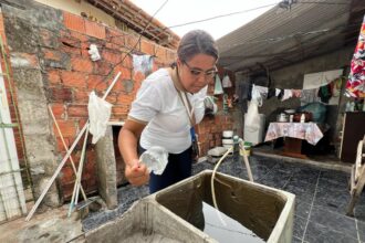 Aracaju reduz infestação do Aedes, mas bairros seguem em alerta
