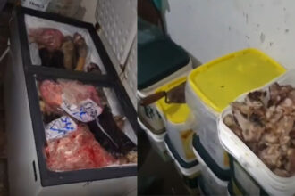 Oito toneladas de carne imprópria são apreendidas em Lagarto