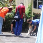 Prefeitura de Aracaju planeja controle populacional de gatos no Cemitério São João Batista