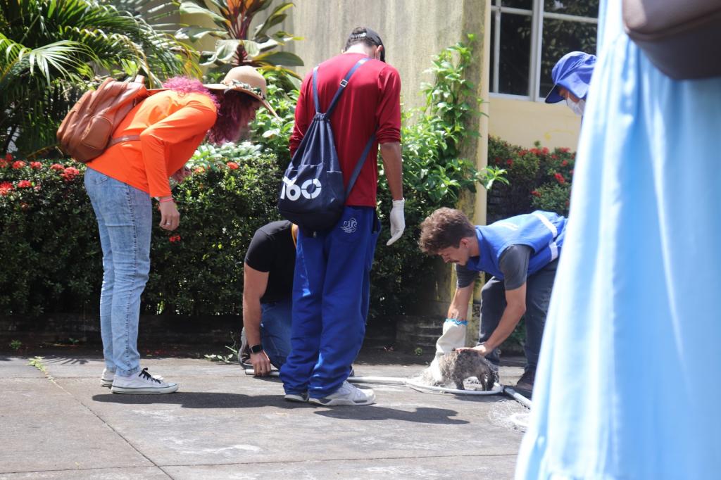 Prefeitura de Aracaju planeja controle populacional de gatos no Cemitério São João Batista
