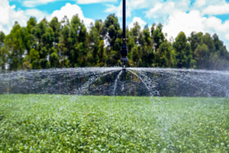 Produtores de Poço Verde devem atualizar cadastro para garantir benefício tarifário