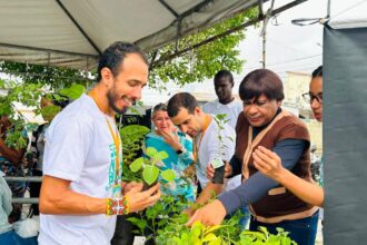 Sema leva mudas e educação ambiental ao Siqueira Campos