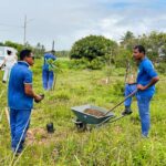 Sema planta 30 mudas de quaresmeira e ipê-cascudo às margens de lagoa no Praia do Refúgio