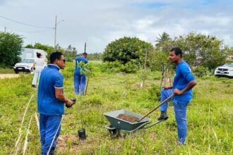 Sema planta 30 mudas de quaresmeira e ipê-cascudo às margens de lagoa no Praia do Refúgio