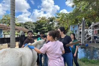 Alunos de Veterinária reforçam cuidados no Centro de Apreensões
