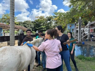 Alunos de Veterinária reforçam cuidados no Centro de Apreensões
