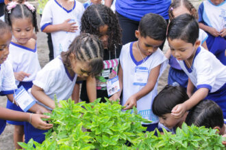 Aracaju avança em formação para criação de parques naturalizados