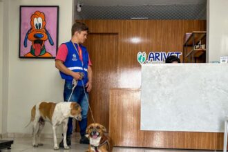 Aracaju castra cães de pessoas acolhidas no Centro POP