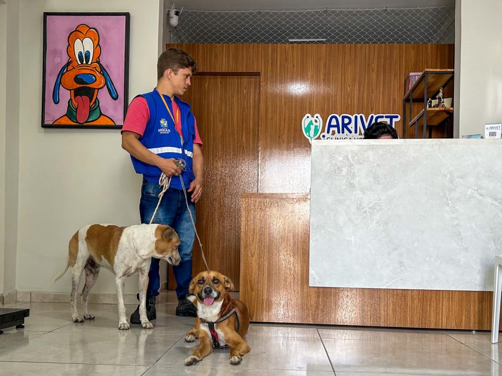 Aracaju castra cães de pessoas acolhidas no Centro POP