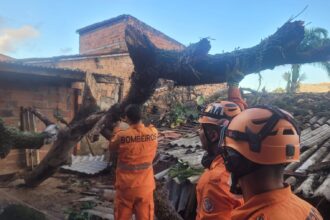 Bombeiros removem mangueira que caiu sobre telhado na Palestina (Aracaju)