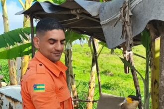 Bombeiros salvam carcará com asa quebrada em Maruim