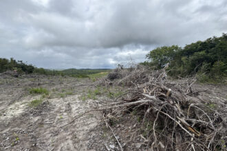 Operação Mata Atlântica em Pé 2026 autua mais de 10 ha de desmatamento em Sergipe