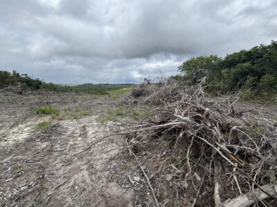 Operação Mata Atlântica em Pé 2026 autua mais de 10 ha de desmatamento em Sergipe