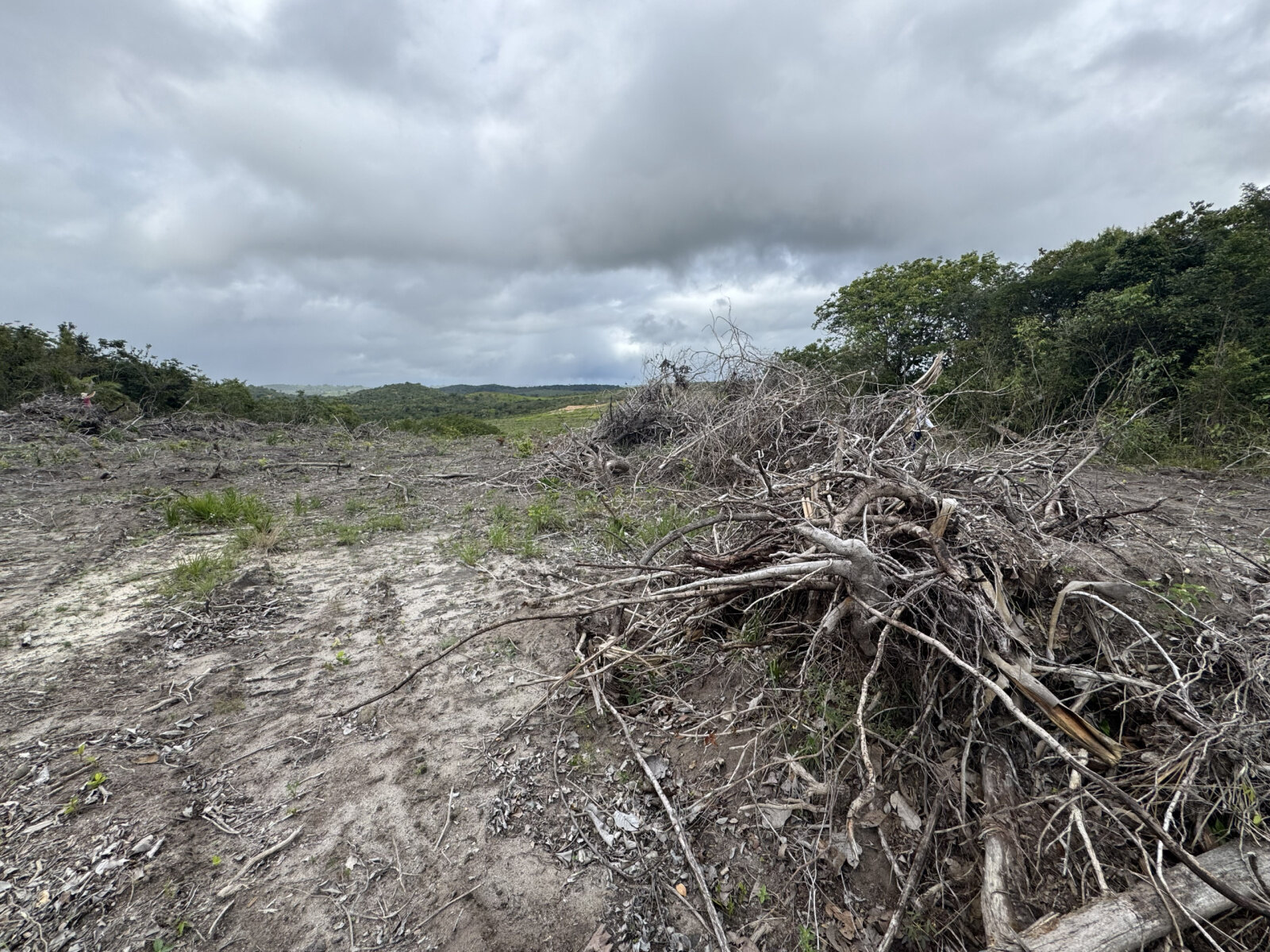 Operação Mata Atlântica em Pé 2026 autua mais de 10 ha de desmatamento em Sergipe