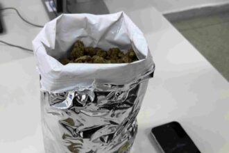 Polícia prende homem com 500g de maconha após perseguição e colisão em Aracaju