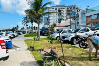 Prefeitura planta 10 espécies de mudas na Coroa do Meio