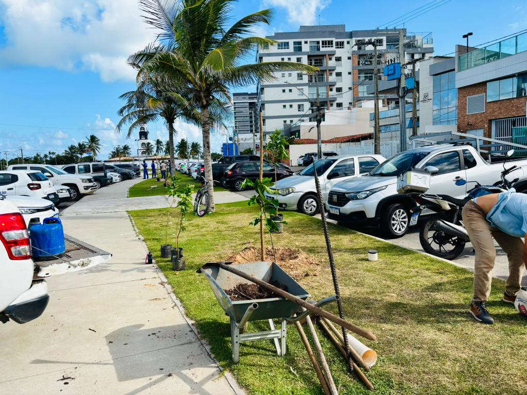Prefeitura planta 10 espécies de mudas na Coroa do Meio