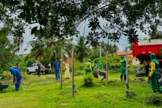 Prefeitura planta 20 mudas nativas em área próxima ao manguezal no Mosqueiro