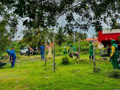 Prefeitura planta 20 mudas nativas em área próxima ao manguezal no Mosqueiro