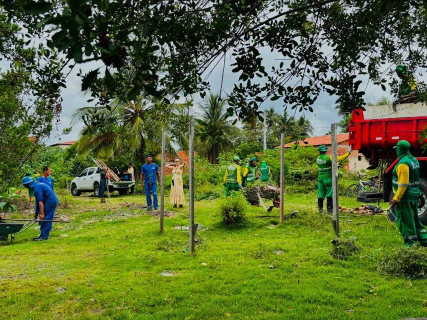 Prefeitura planta 20 mudas nativas em área próxima ao manguezal no Mosqueiro