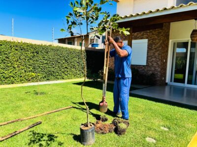 Projeto Calçada Viva amplia arborização no bairro Aruana, em Aracaju