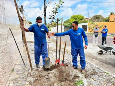 Projeto Calçada Viva planta oito mudas em calçadas do Aruana