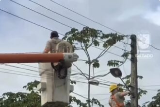 Salgado substitui lâmpadas por LED e amplia iluminação a povoados