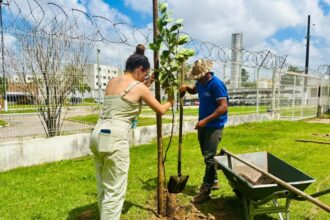 Sema planta 40 mudas frutíferas e nativas na sede do Crea-SE