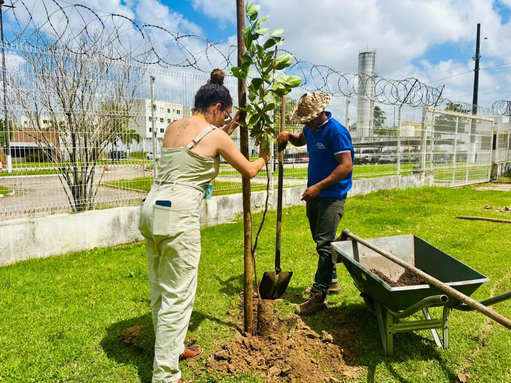 Sema planta 40 mudas frutíferas e nativas na sede do Crea-SE