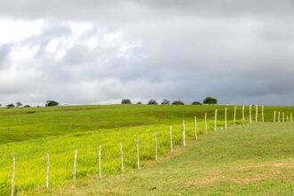 Sergipe: chuva fraca na sexta e domingo; sábado fica seco