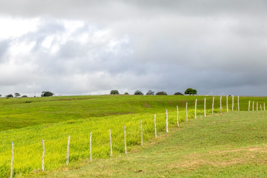 Sergipe: chuva fraca na sexta e domingo; sábado fica seco
